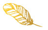 Gold Feather